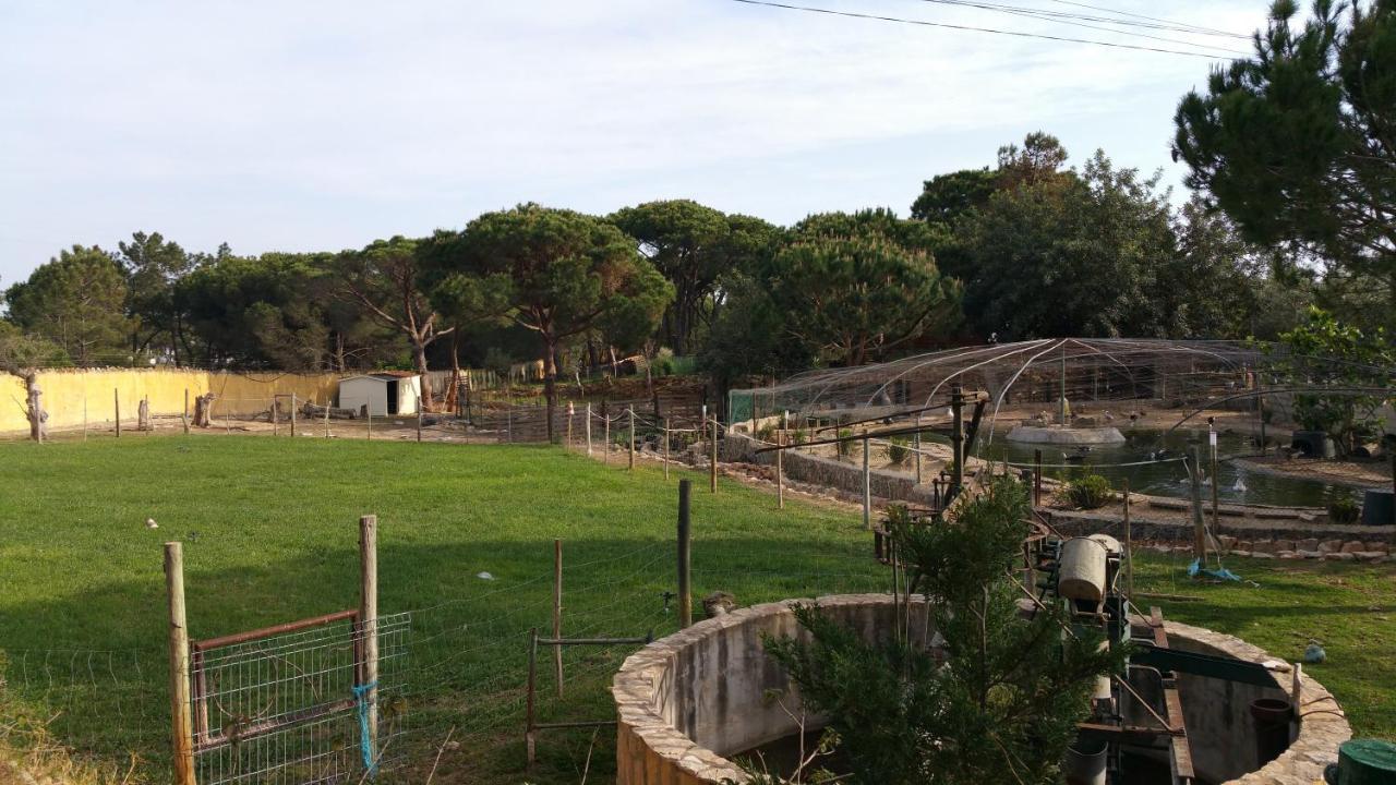Quinta Vita - Vila Pera Almancil Exterior photo